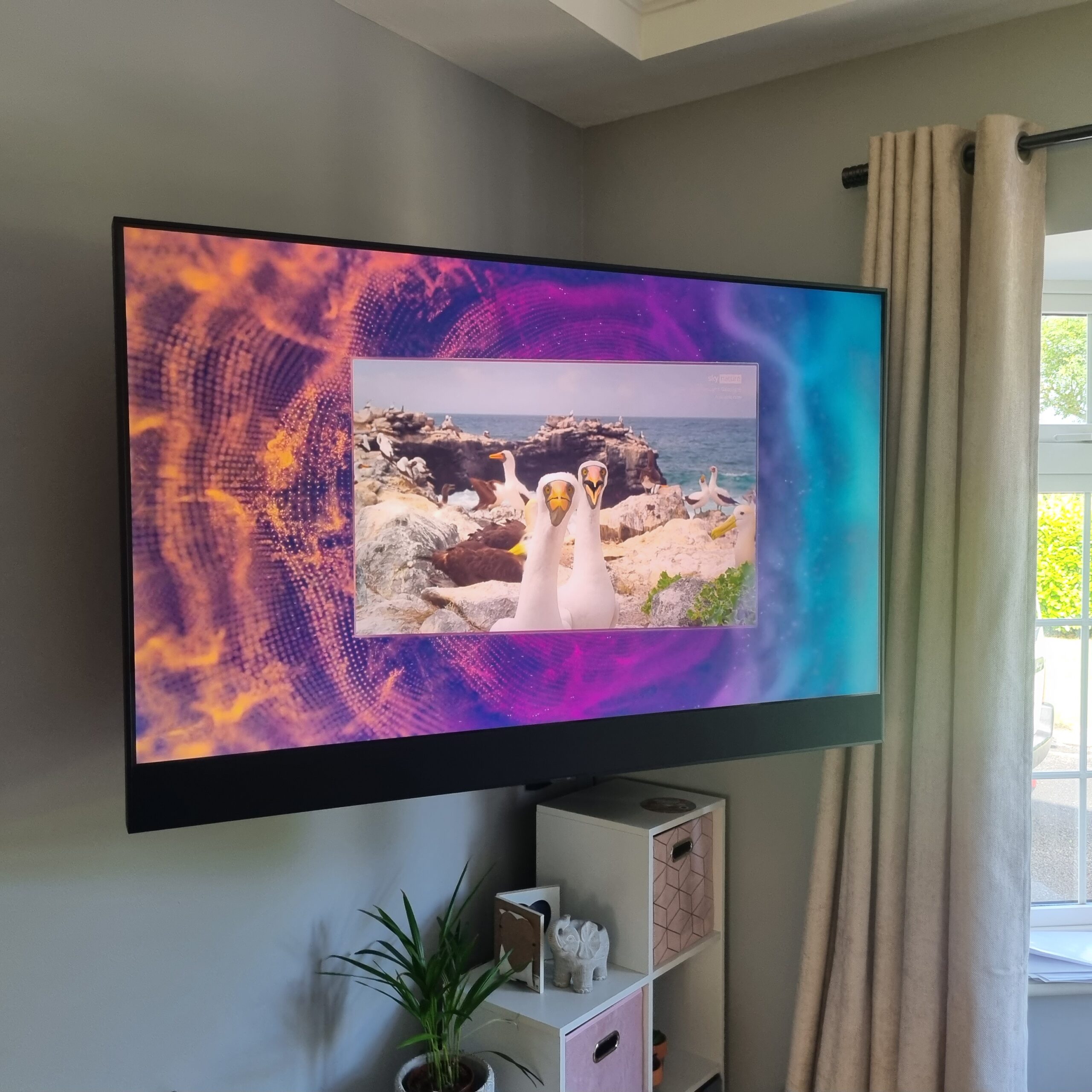 TV & Home — Wall Mounted TV